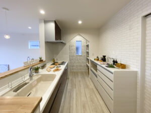 グリーンの屋根のアーリーアメリカン風の家