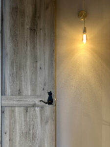 ねこと暮らす、グレーを楽しむ。遊び心と機能性を備えた平屋の家（群馬県高崎市）